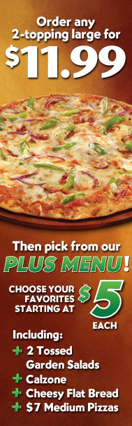 Order any 2-topping large for $11.99 Then pick from our PLUS MENU!